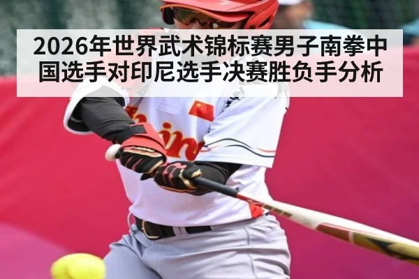 2026年世界武术锦标赛男子南拳中国选手对印尼选手决赛胜负手分析